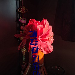 青青(青)草(草)原(原)综(綜)合久久(久)大(大)伊人(人)精品下(下)载(載)