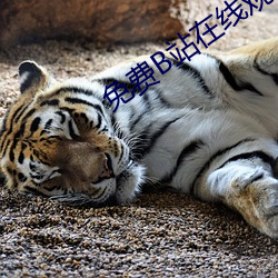 免(免)费(費)b站在线观(觀)看人(人)数(數)在哪