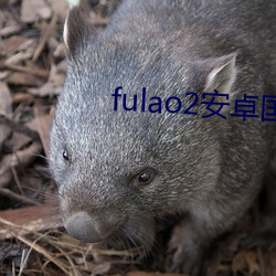 fulao2安卓国内版下载