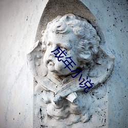 成(chéng)年小说