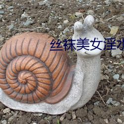 絲襪美女淫水