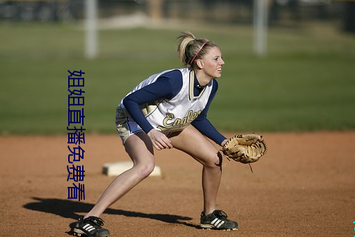 姐(jiě)姐直播(bō)免费看