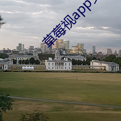 草莓視app安卓黃下載