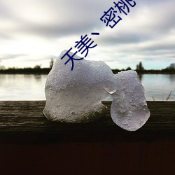 天美丶密桃丶果冻女传媒
