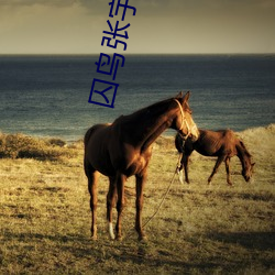 囚鸟(niǎo)张(zhāng)宇(yǔ)