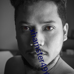 xhamster49倉鼠