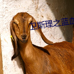 卫斯理之蓝血星人在线观看