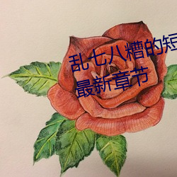 乱七(qī)八糟的短篇集(jí)( h)(一零二(èr)四) 最新章节