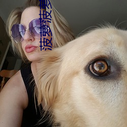 菠萝菠萝蜜在线观看视频高清7