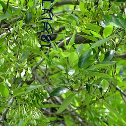 18岁(suì)以下(xià)禁用(yòng)软件app大(dà)全下(xià)载