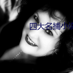 四大名(名)捕(捕)小说(說)
