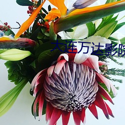 大连万达影院