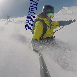 青青河边草免费观看视频免