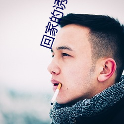 回家的誘惑電視劇免費完整