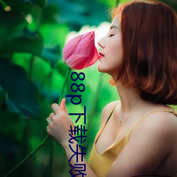 88p下载失败