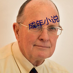 成年小說