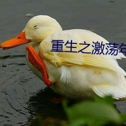 重生之(之)激荡年华