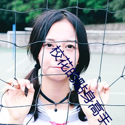 校花的贴身高手小说