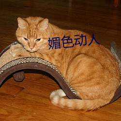媚色动人