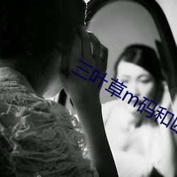 三(三)叶草m码和(和)欧(歐)洲码(碼)的(的)区别