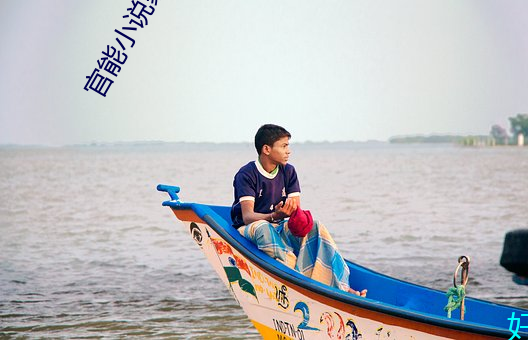 官能小说家