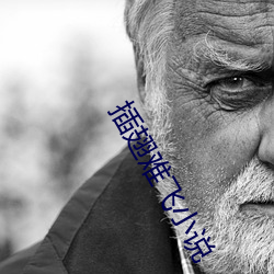 插翅难飞小说