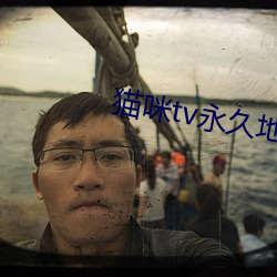 貓咪tv永久地域網名2022