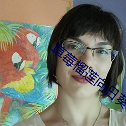 草莓(méi)榴(liú)莲向日(rì)葵18免费(fèi)