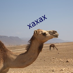 xaxax