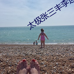 太極張三豐李連傑電影免費