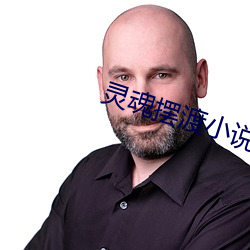 灵魂摆渡小说