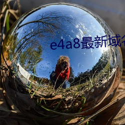 e4a8最新域名