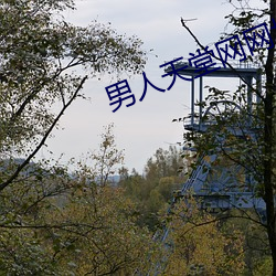 男人天堂网网址 （队伍）