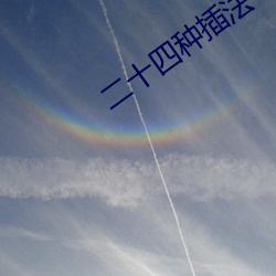 二十(十)四种(種)插(插)法(法)