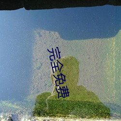 完全免费