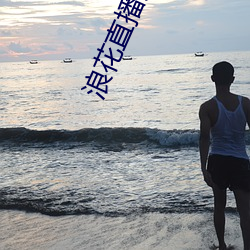 浪花直播免费直播在线观看