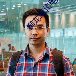 柳龙庭传电视剧免费观看完