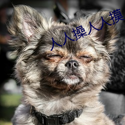 人人操人人摸人人看最新章節