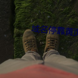 域名停靠黃頁應用v1.3.8 安卓
