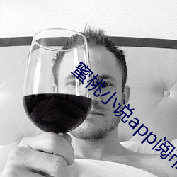 蜜桃小說app閱幣破解