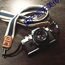 国产剧天美传媒体果冻(dòng)传媒