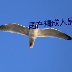 国(國)产精(精)成人品(品)在(在)线播(播)放