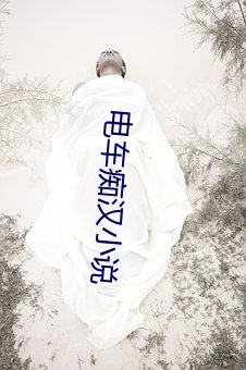 电(diàn)车痴汉(hàn)小说