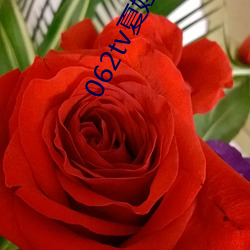 062tv夏娃(wá)如雪直(zhí)播(bō)下(xià)载