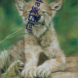 向日(rì)葵app下载api免费(fèi)