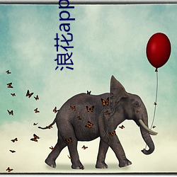 浪花app软件官(官)方(方)下载(載)