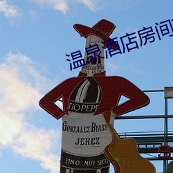 温泉酒店房间(間)带温泉池(池)