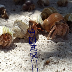 伊园甸(diān)区二二二区区