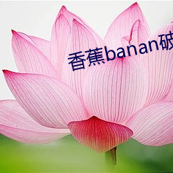 香蕉(jiāo)banan破解版