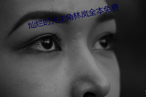 灿烂时(時)光主角林(林)岚全本(本)免费